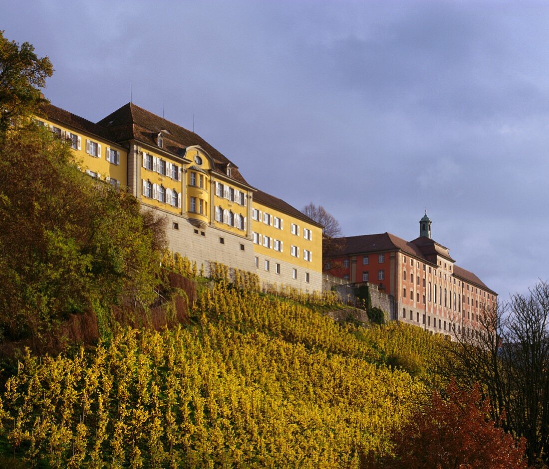 Schloss Meersburg, die erste deutsche Weinbaudomäne, Bodensee