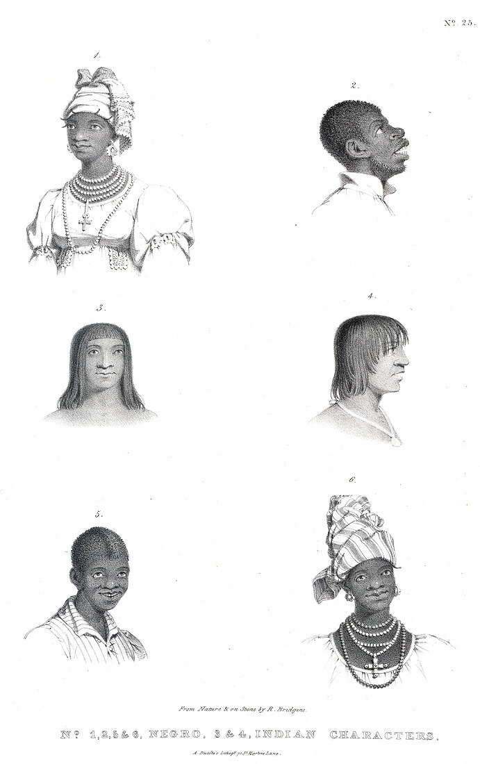 Negro and Indian heads