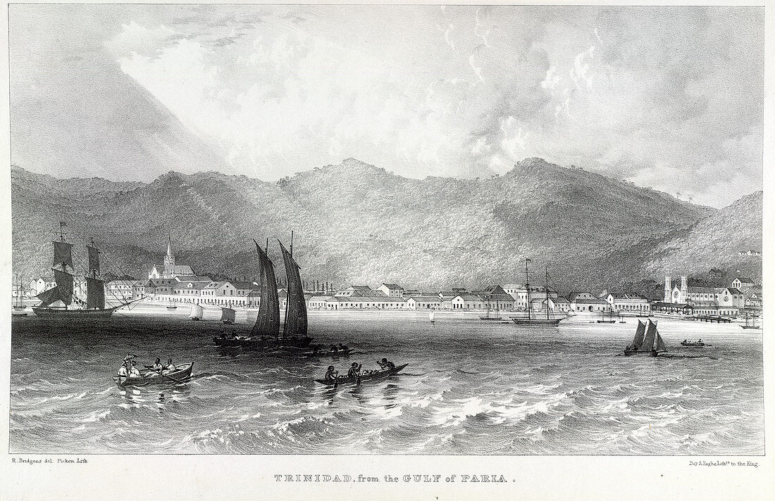 Trinidad,from the Gulf of Paria