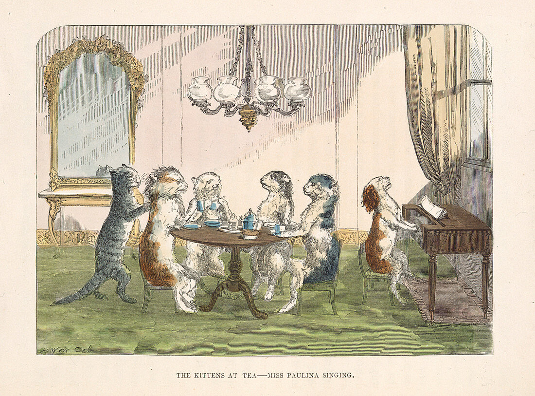 The kittens at tea