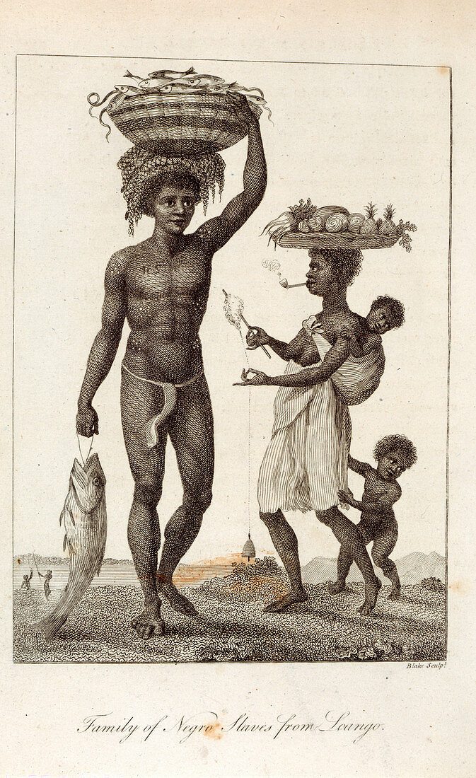Negro slaves