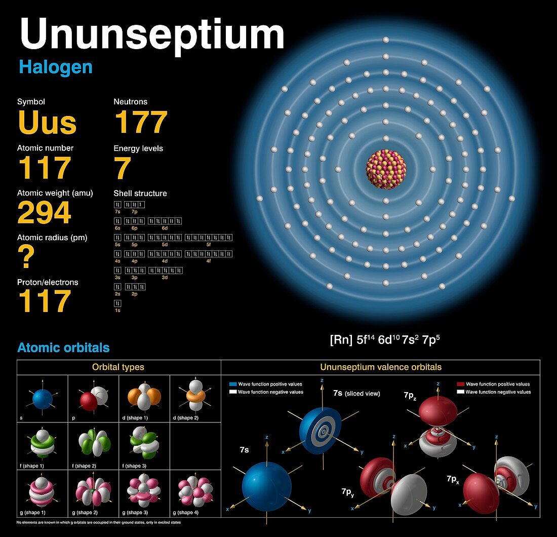 Ununseptium,atomic structure