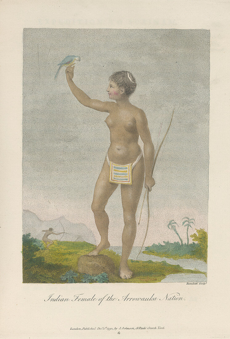 Indian female of the Arrowauka nation