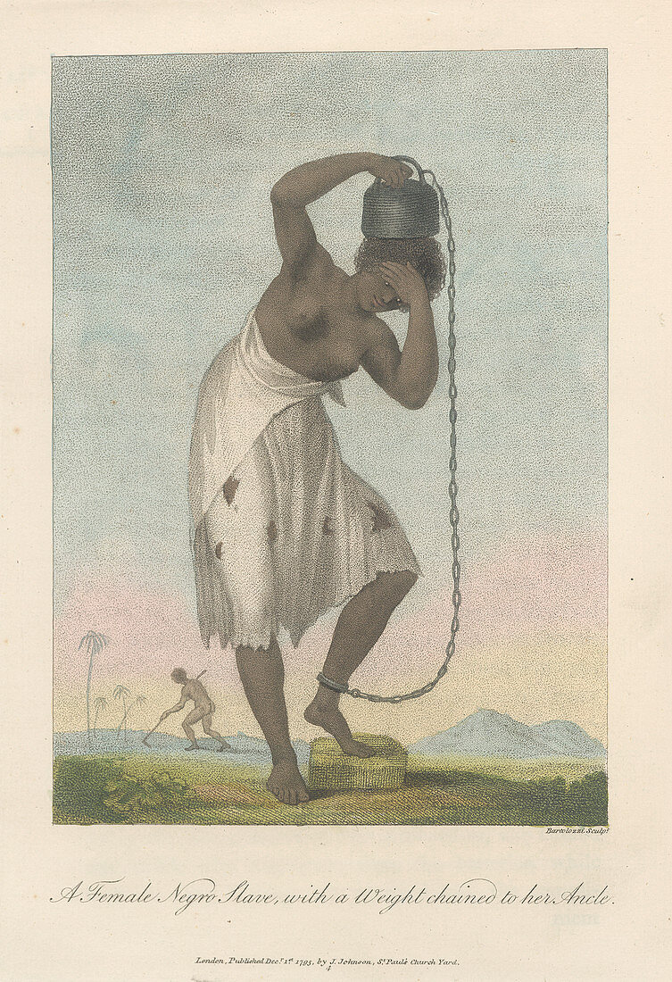 A female negro slave
