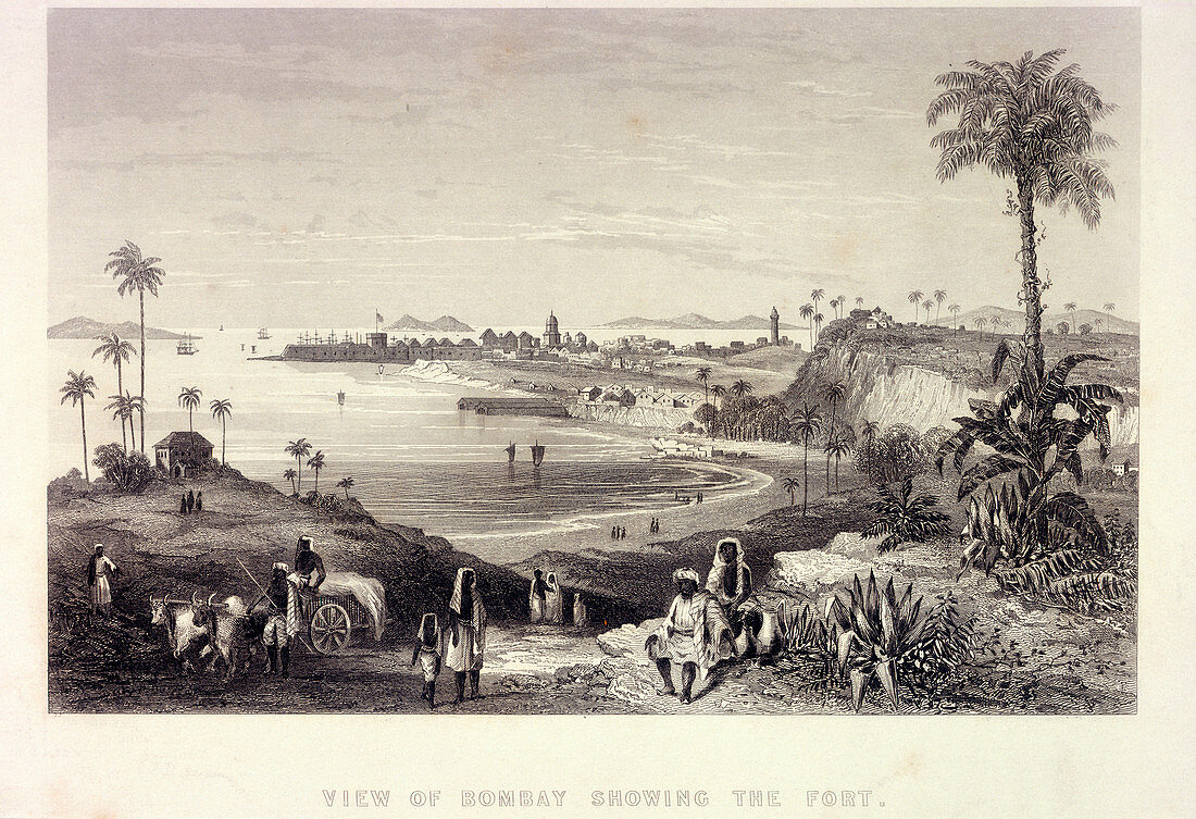 View of Bombay showing the Fort