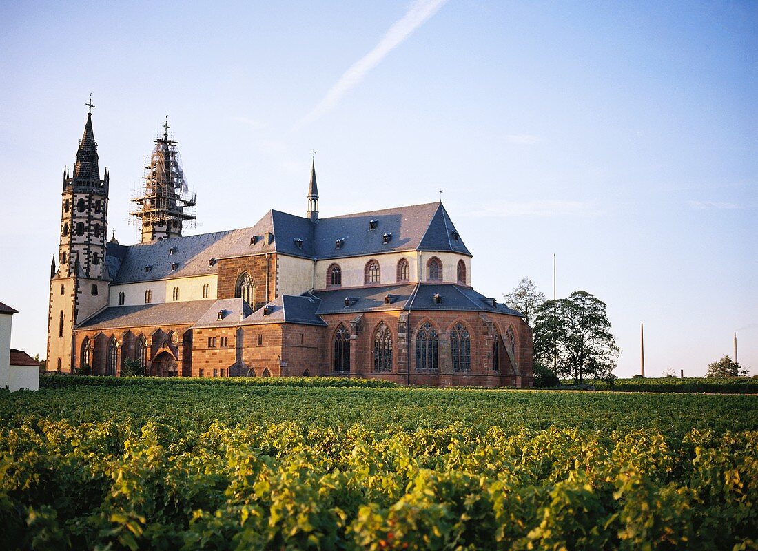 Ursprung der 'Liebfrauenmilch':Liebfrauenstift in Rheinhessen