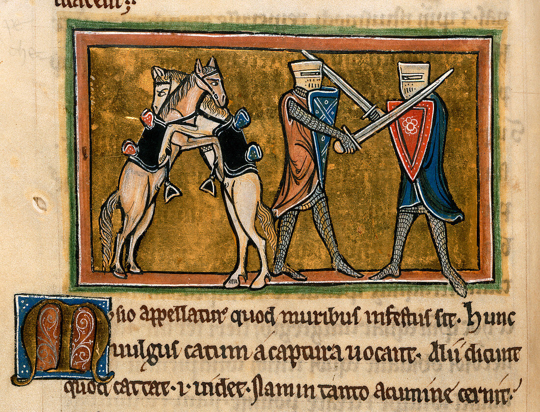 Two horses and two knights fighting