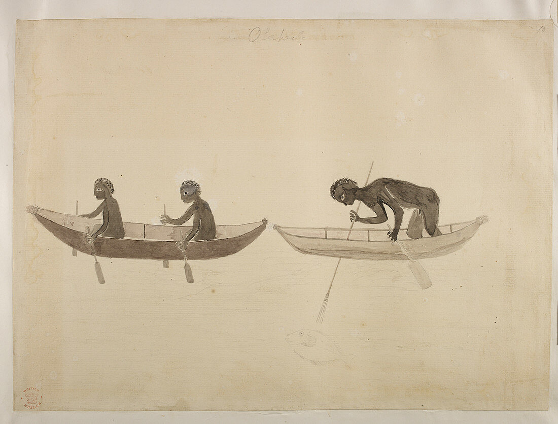 Australian Aborigines paddling bark canoe