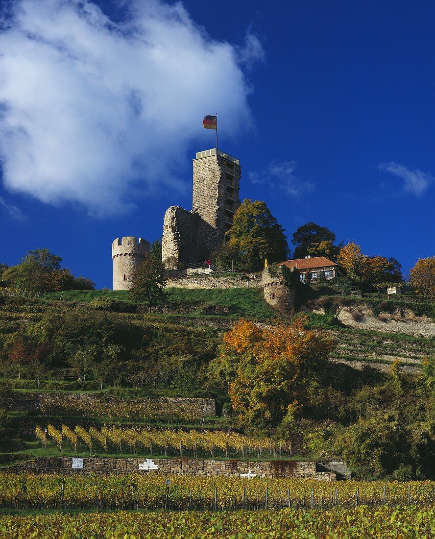 Schloss Wachenheim oberhalb seines Weinbergs,Wachenheim,Pfalz