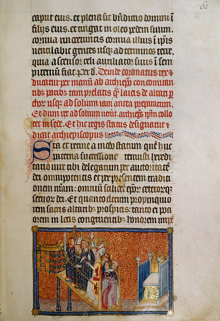 Illustrated page of 'codex membran' manus