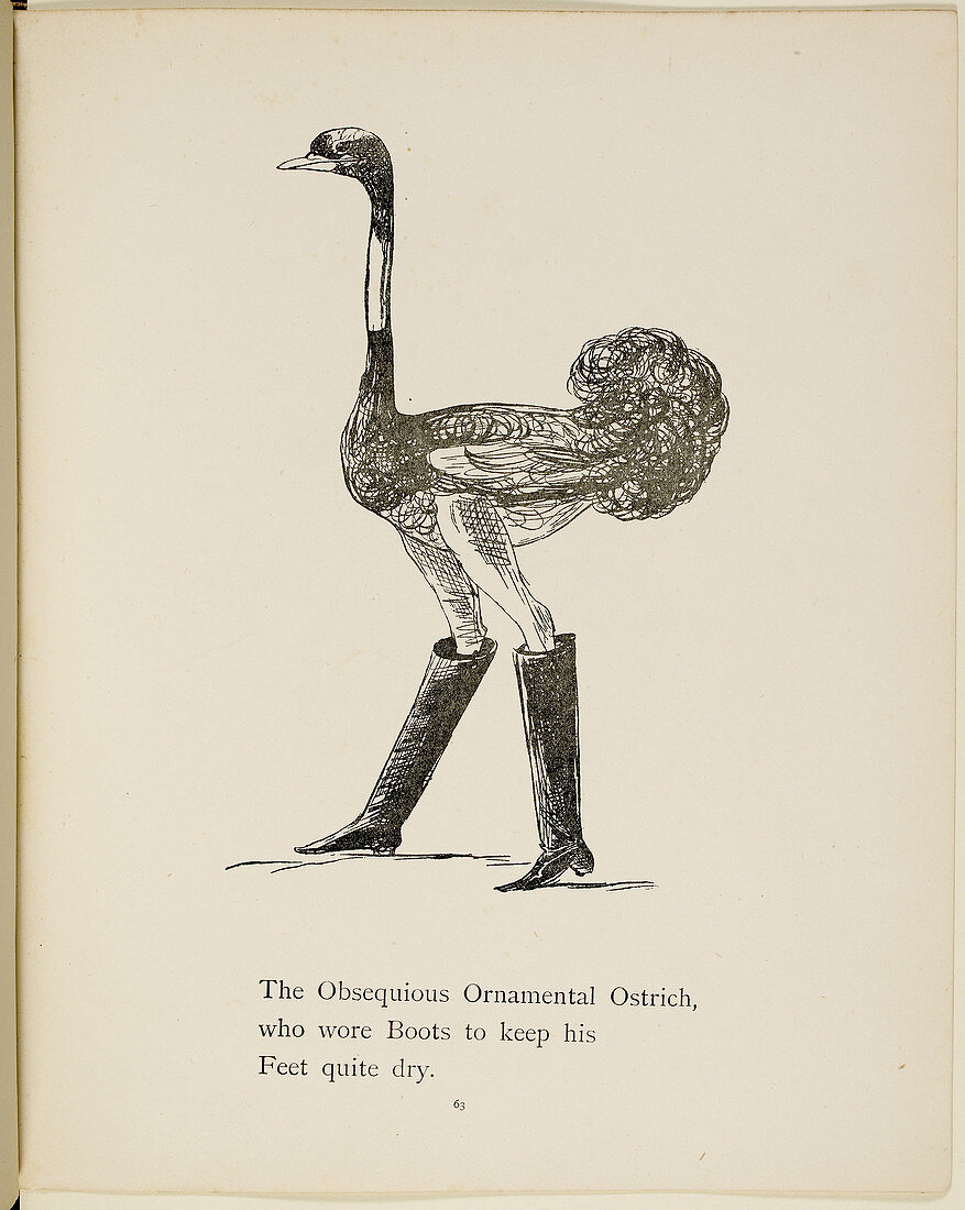 Ostrich wearing boots
