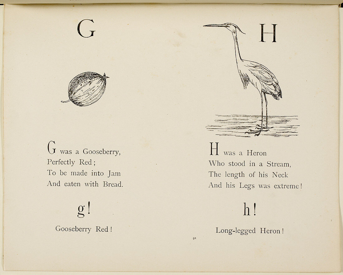 Gooseberry and heron