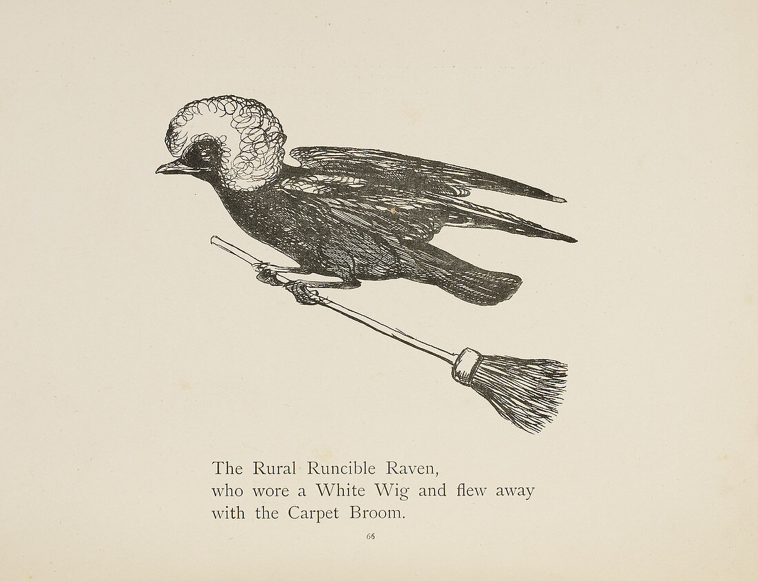 Raven flying on a broom