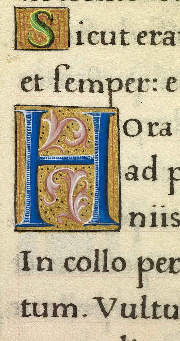 Manuscript ornamental letters S and H