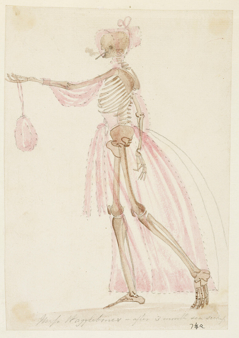 Skeleton in pink dress