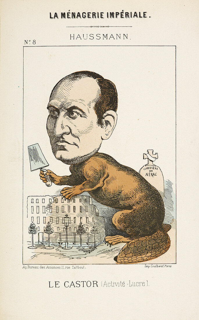 French Caricature - Le Castor