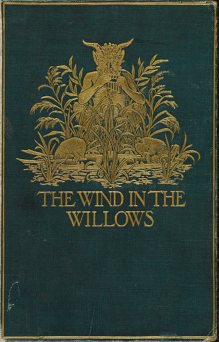 Front cover of The Wind in the Willows