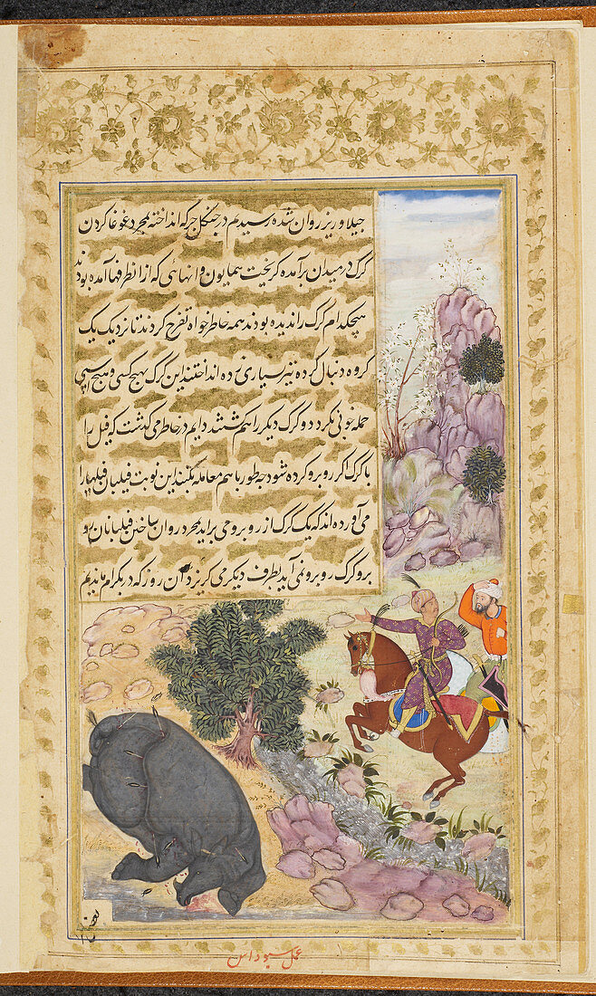 Babur hunting rhinoceros