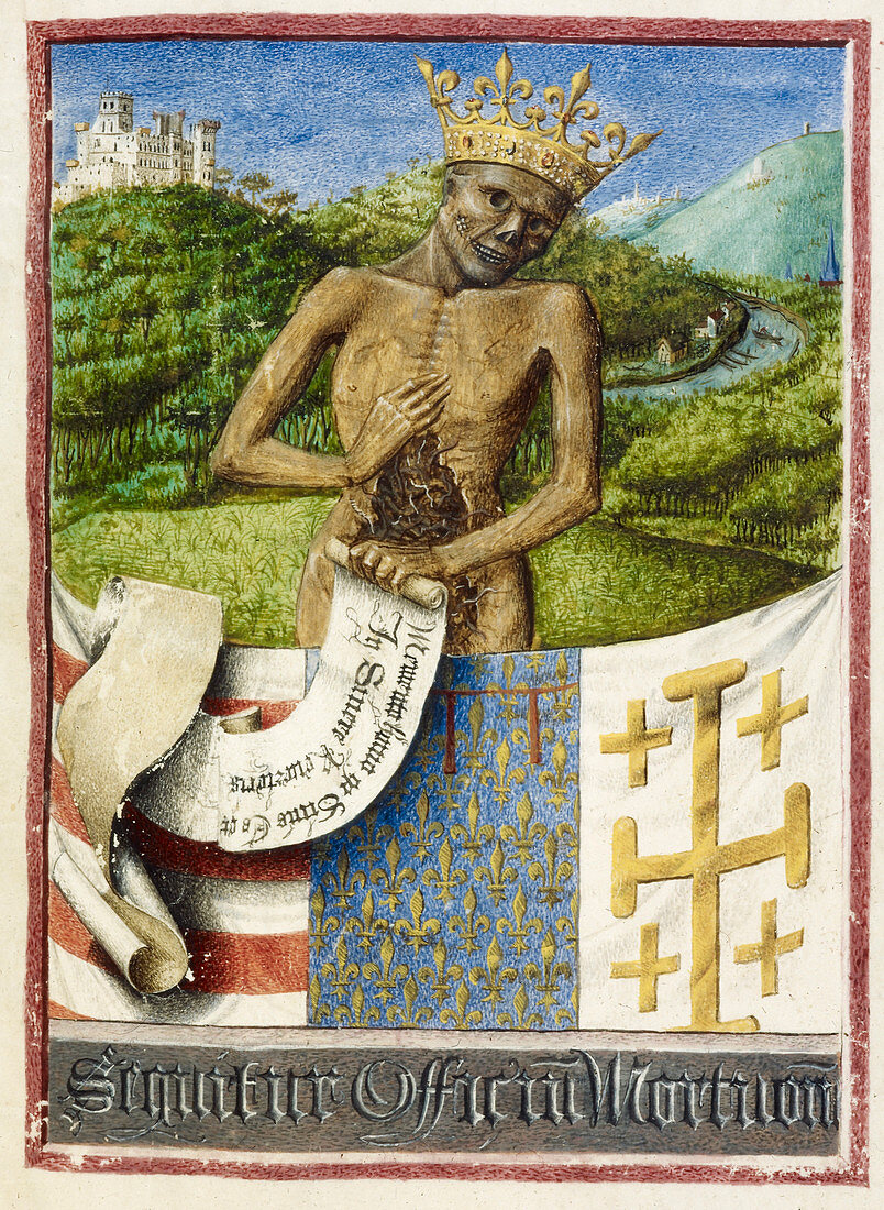 Skeleton; arms of Rene d'Anjou