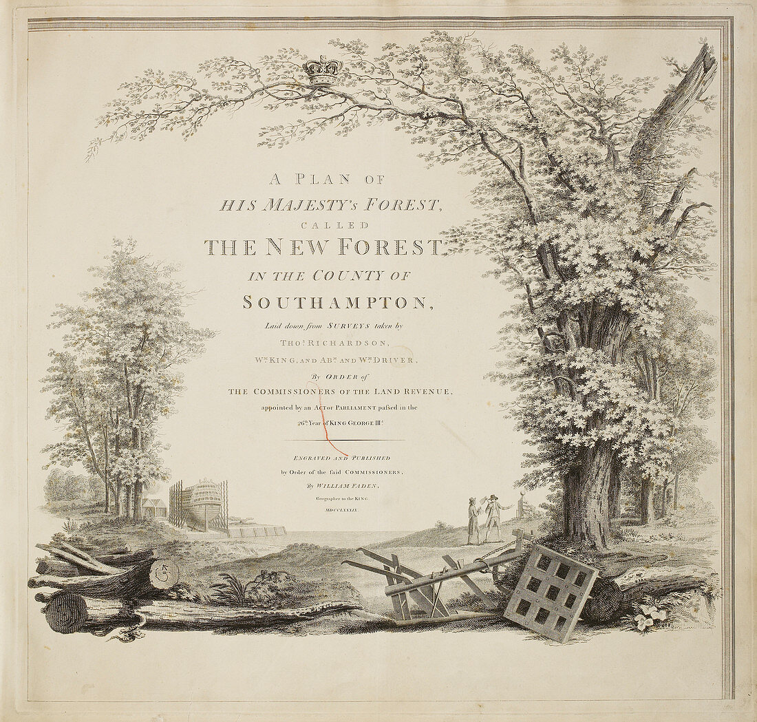 survey of the New Forest