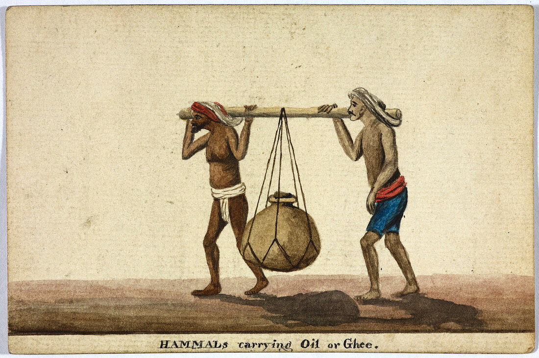 Hammals carrying oil or ghee