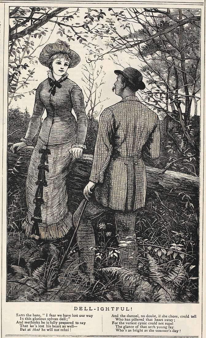 Illustration of romantic scene in a wood