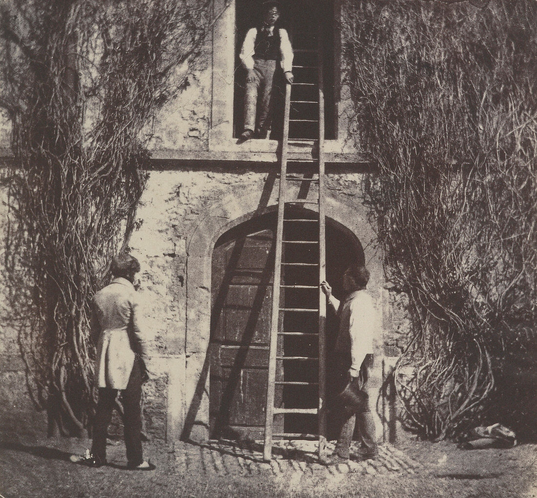 The ladder,1845