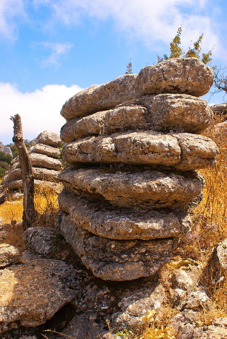 Limestone rocks of El Torcal