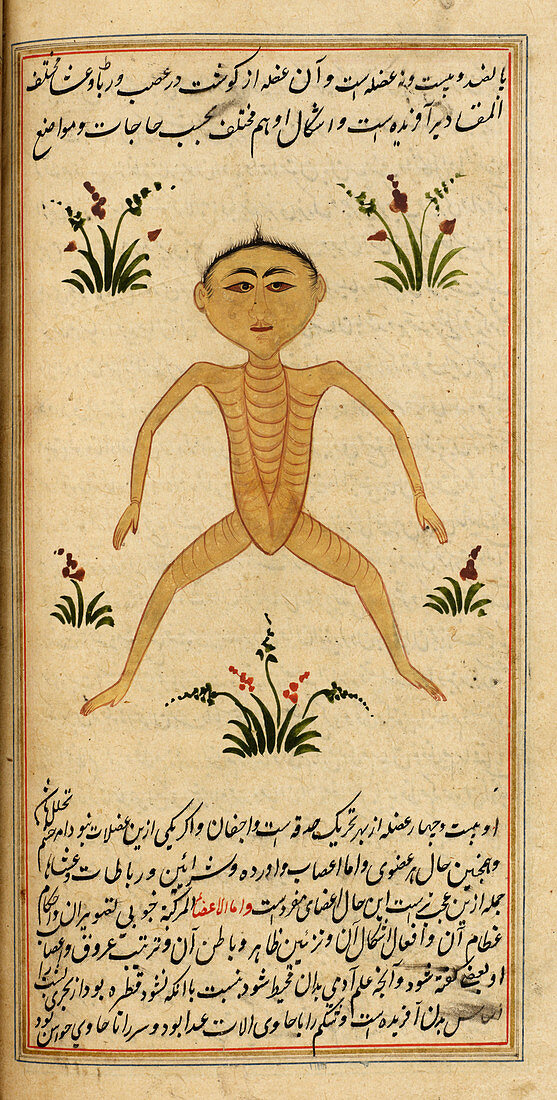 Naked figure,illustration