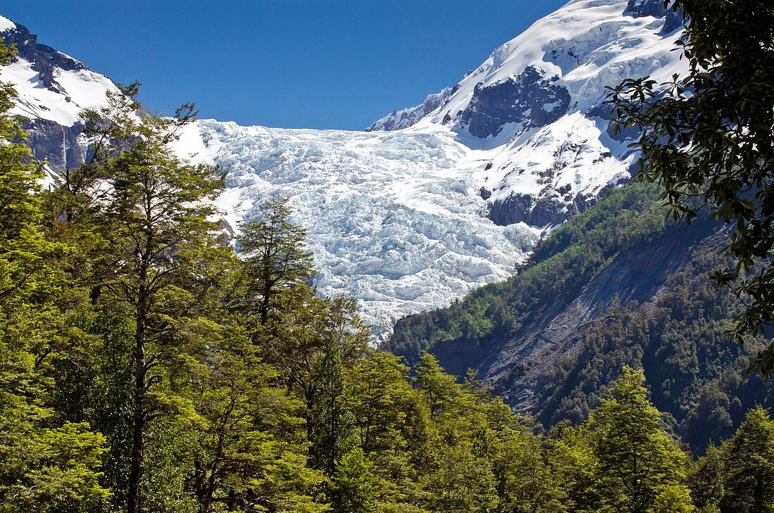 Yelcho Chico glacier,Chile