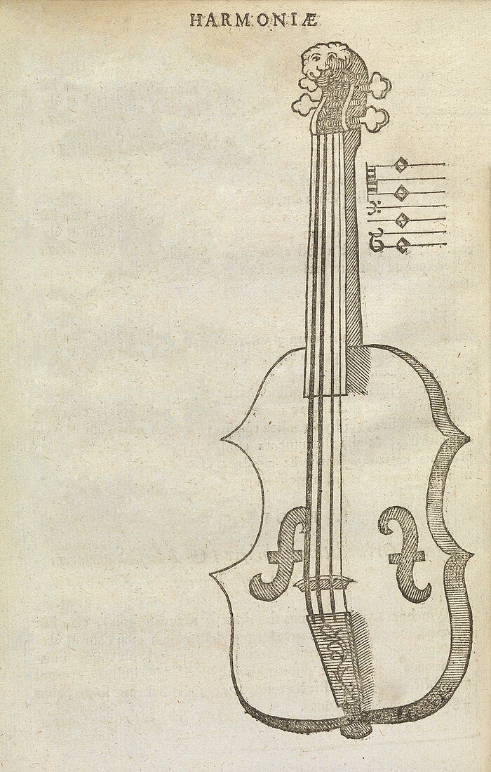 Violin,17th century