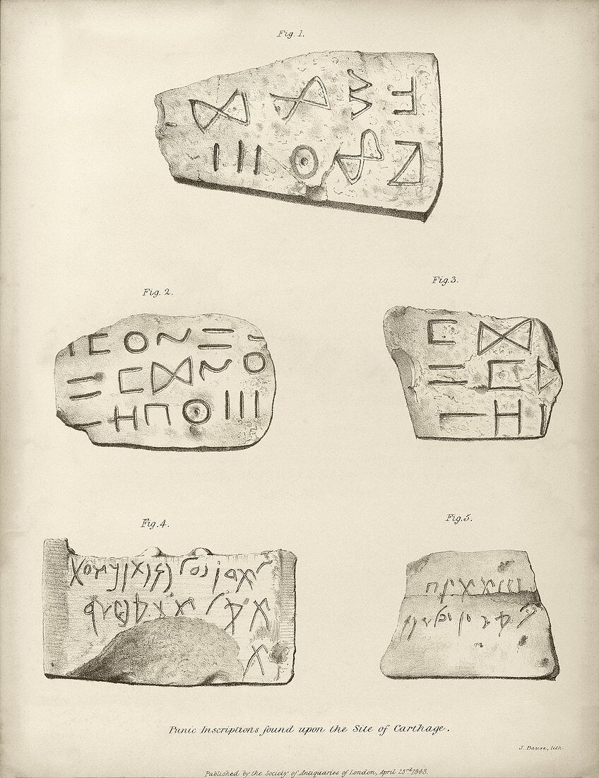 Punic inscriptions from Carthage,1843