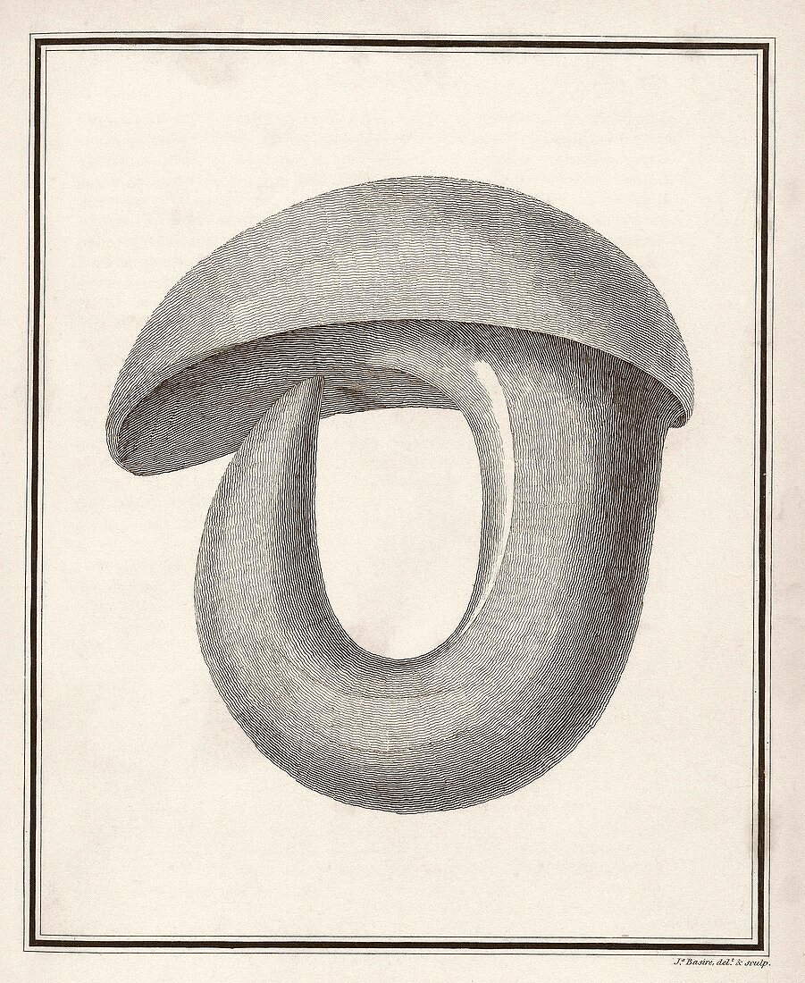 Stone instrument,1806