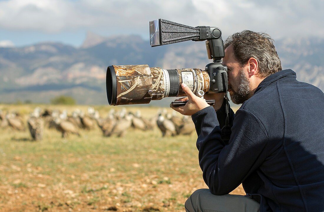 Wildlife photographer Nicolas Reusens