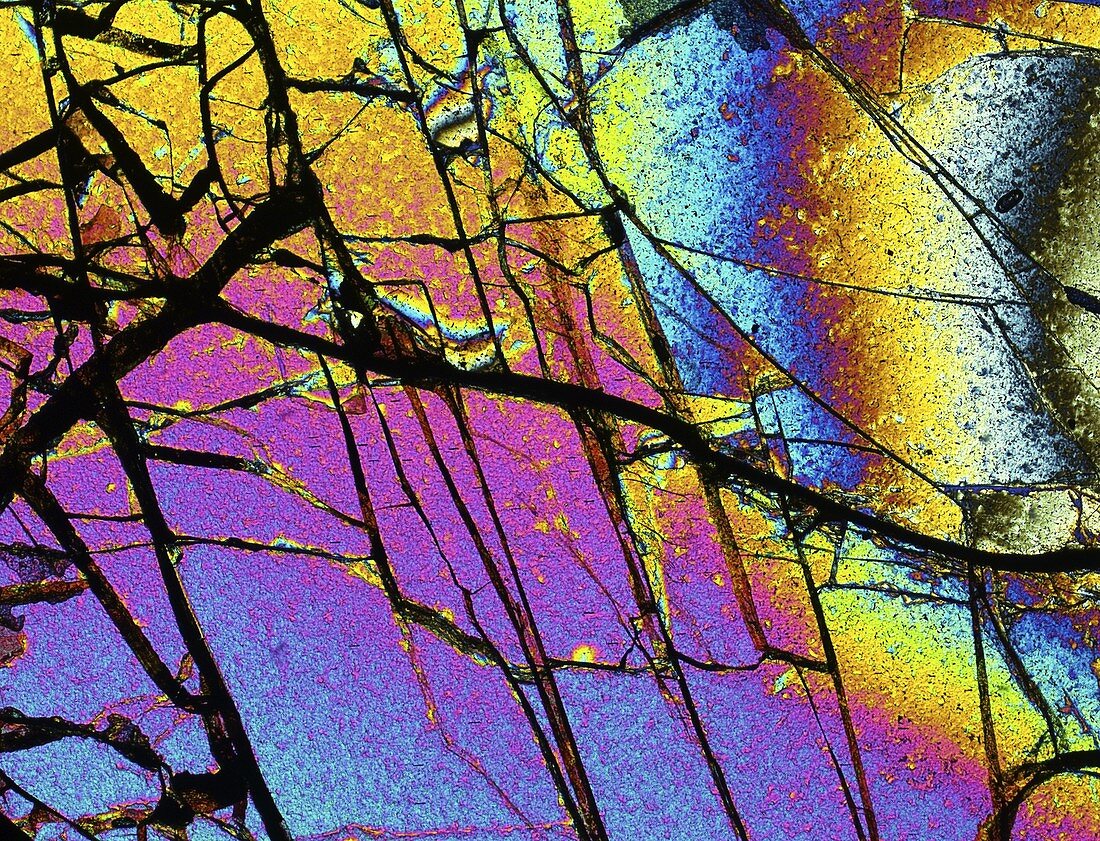 Meteorite Brenham,light micrograph