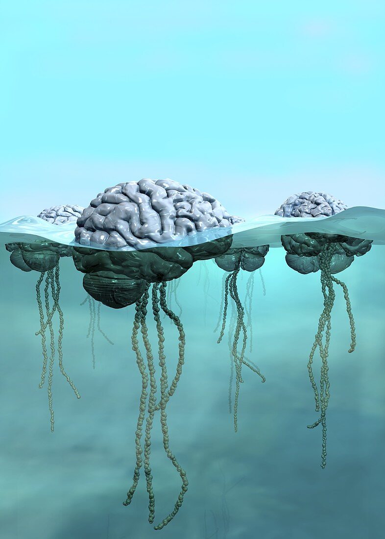 Brains as jellyfish,conceptual image