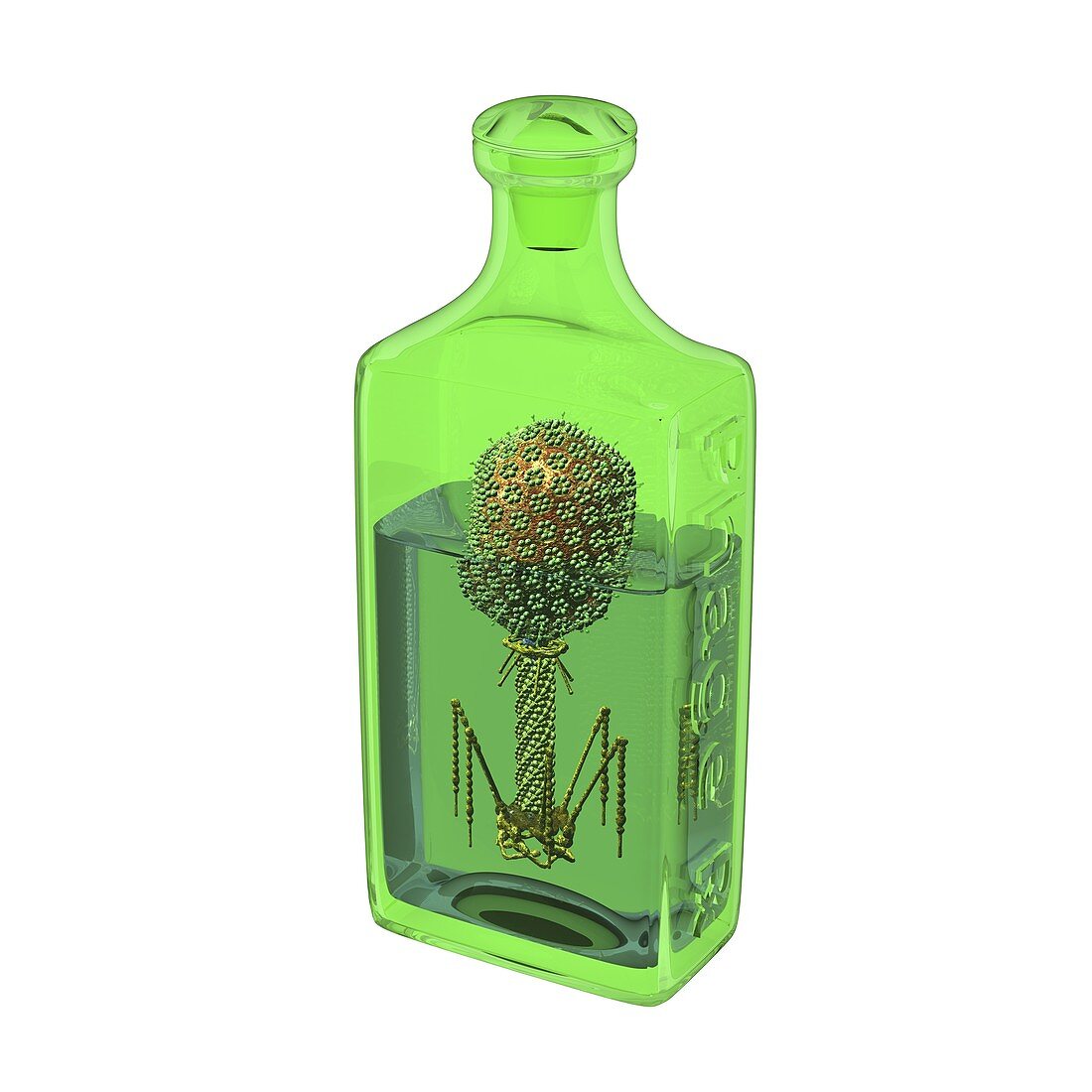 Phage therapy bottle,conceptual image