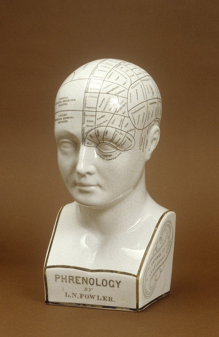 Phrenology head,circa 1850