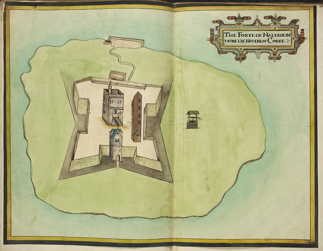 Haleboline Fort Cork