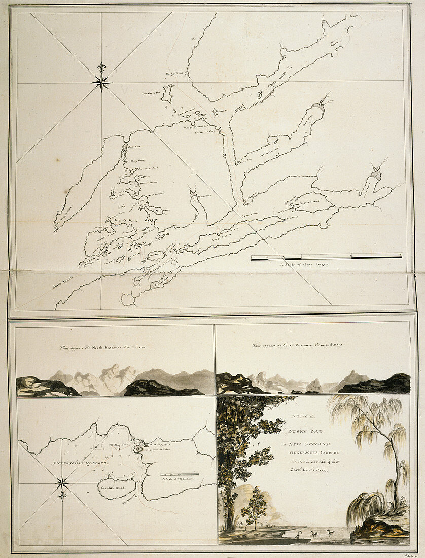 A plan of Dusky Bay in New Zealand