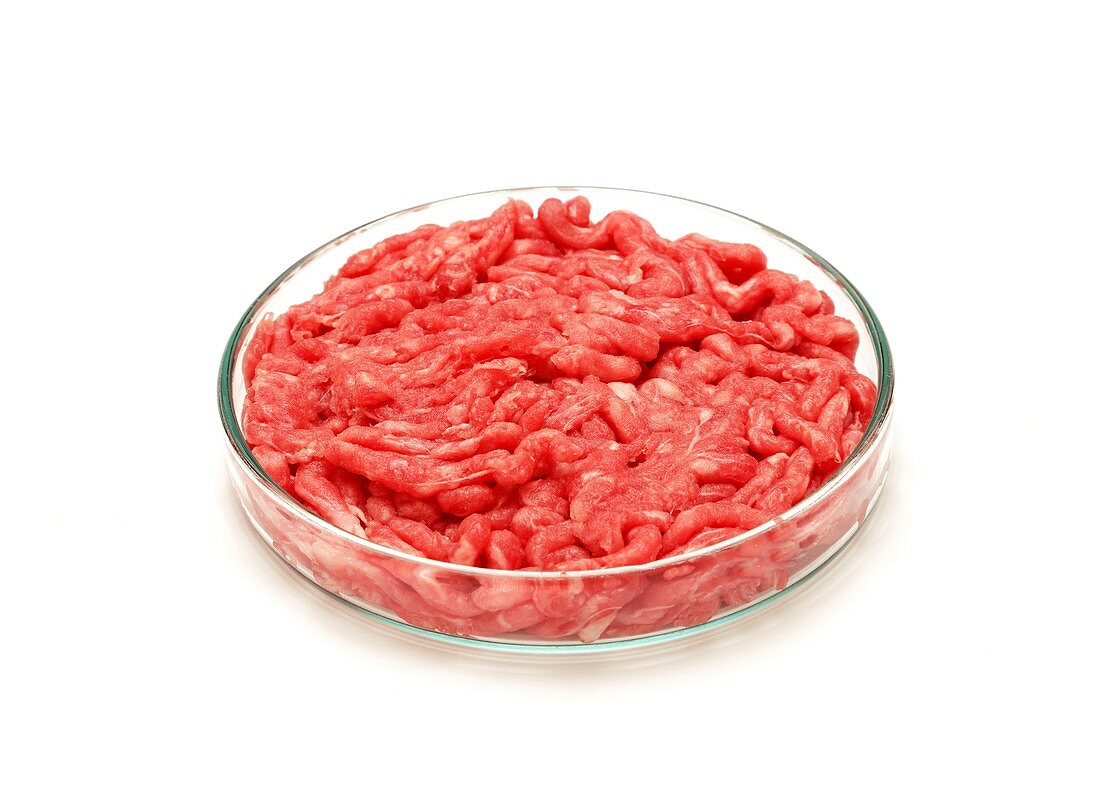 Cultured meat product,conceptual image