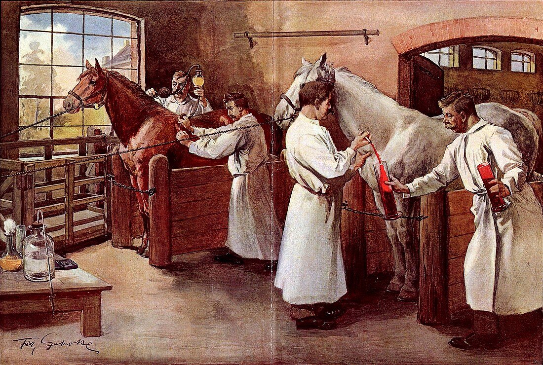Collecting horse blood,artwork