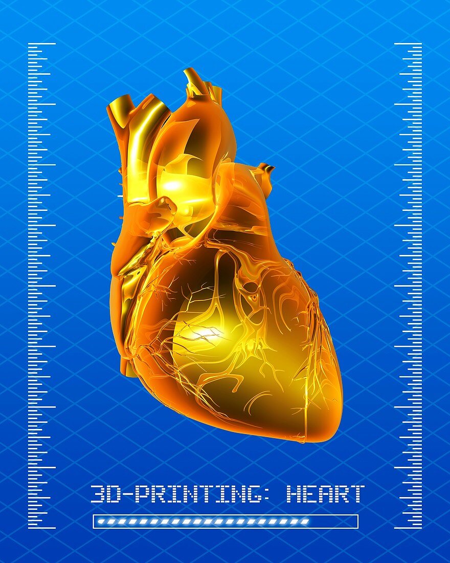 3D printing of a human heart,artwork