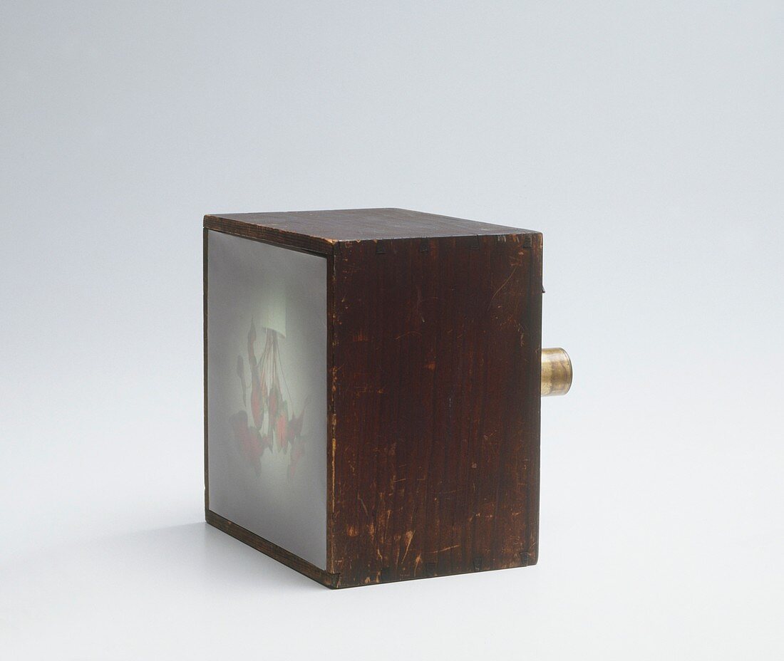 Replica of Fox Talbot's camera