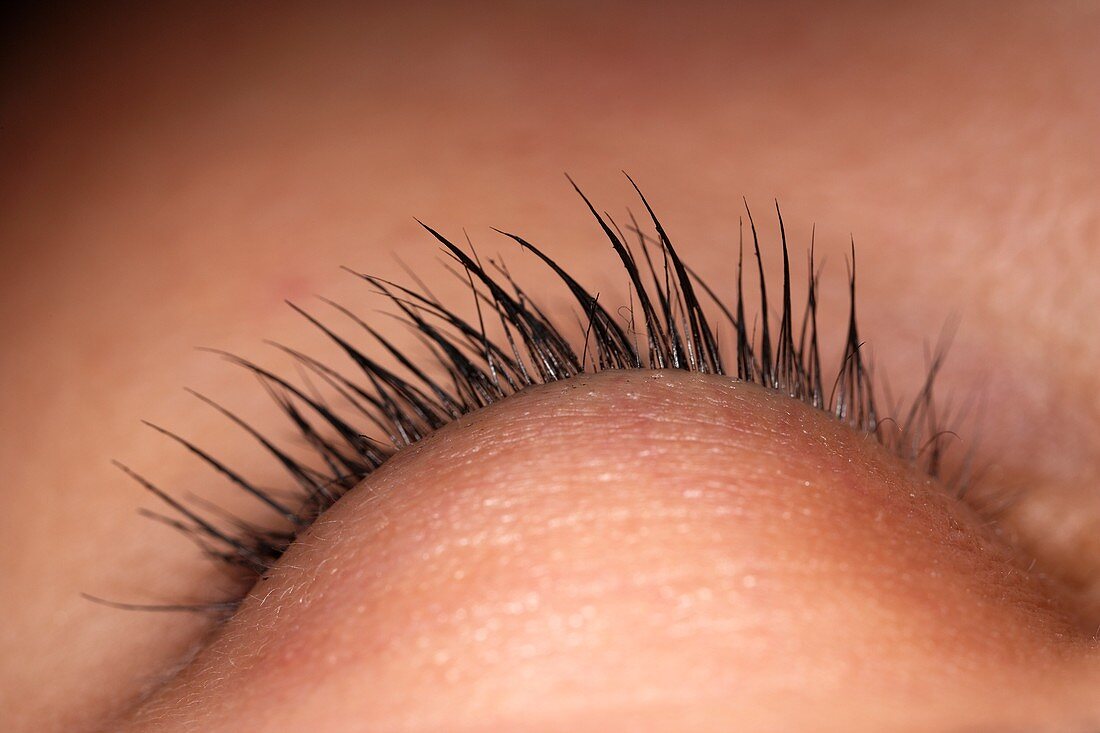 Closed eye of young woman showing eyelid