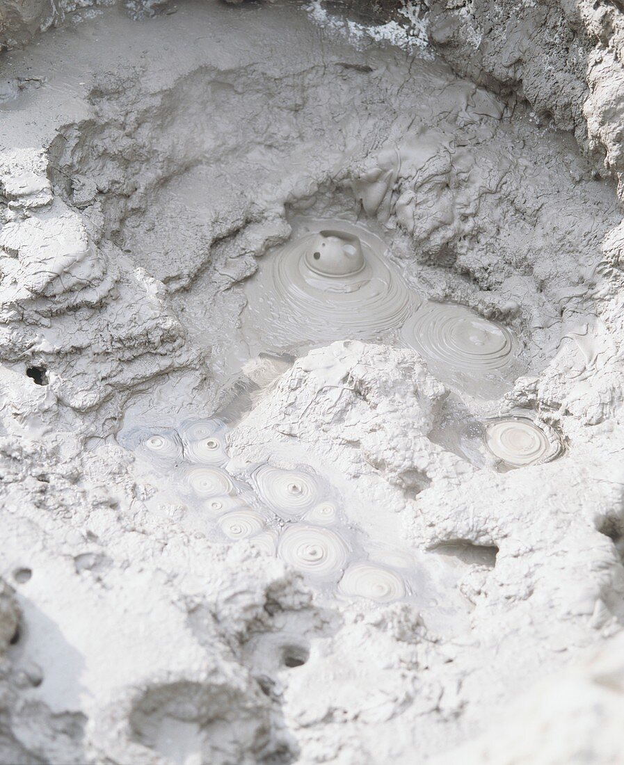 Bubbling mud in a hot spring