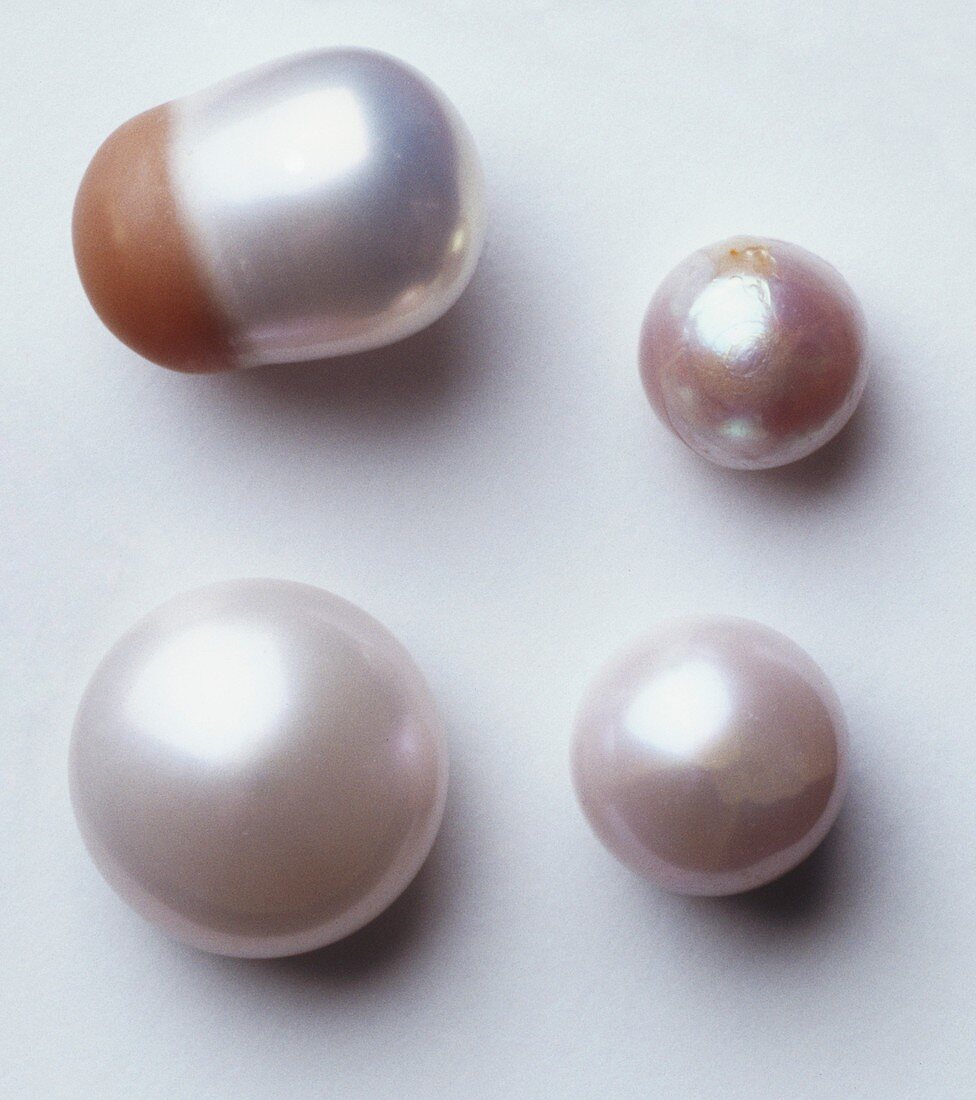 Four fresh water pearls,close up