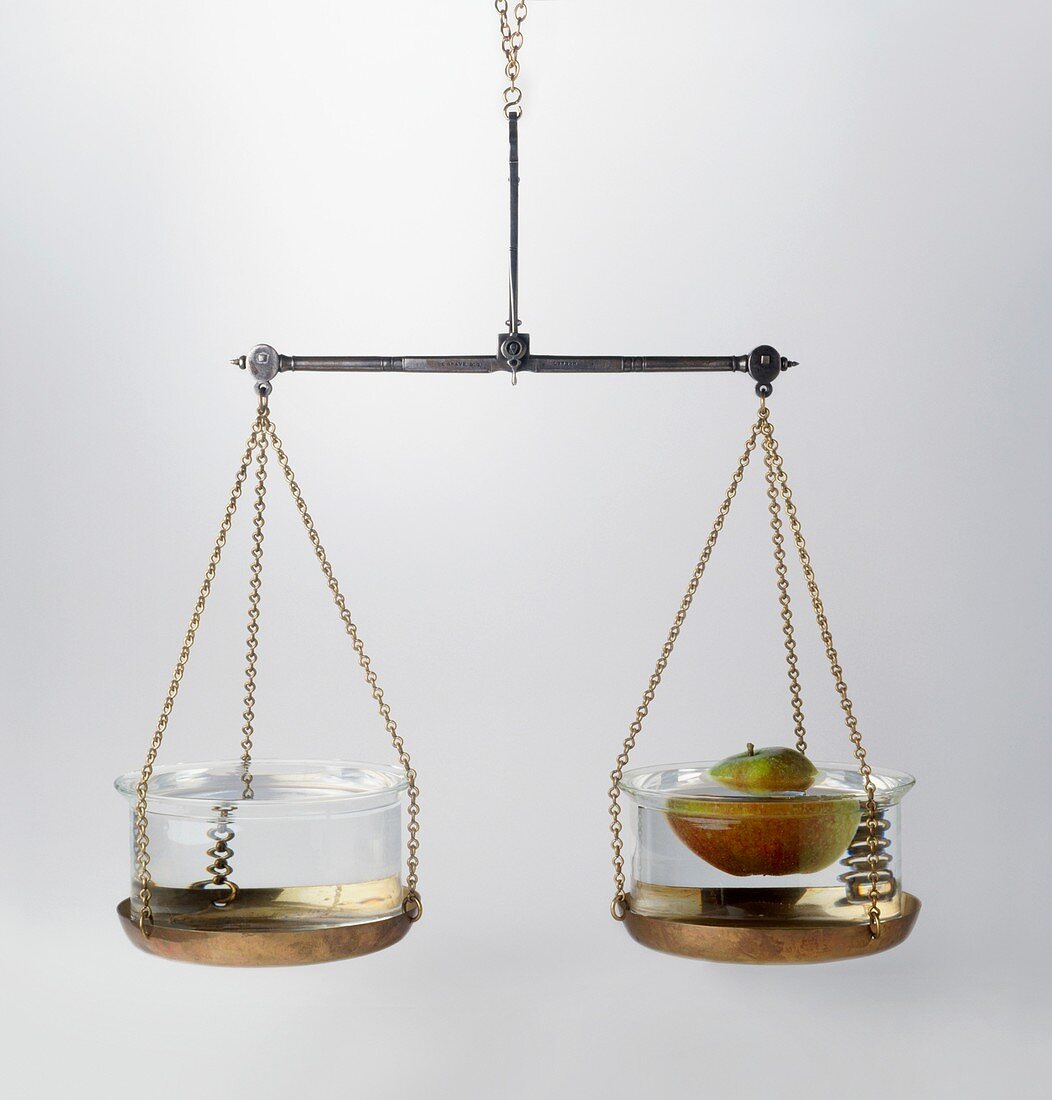 Set of scales with a bowl of water