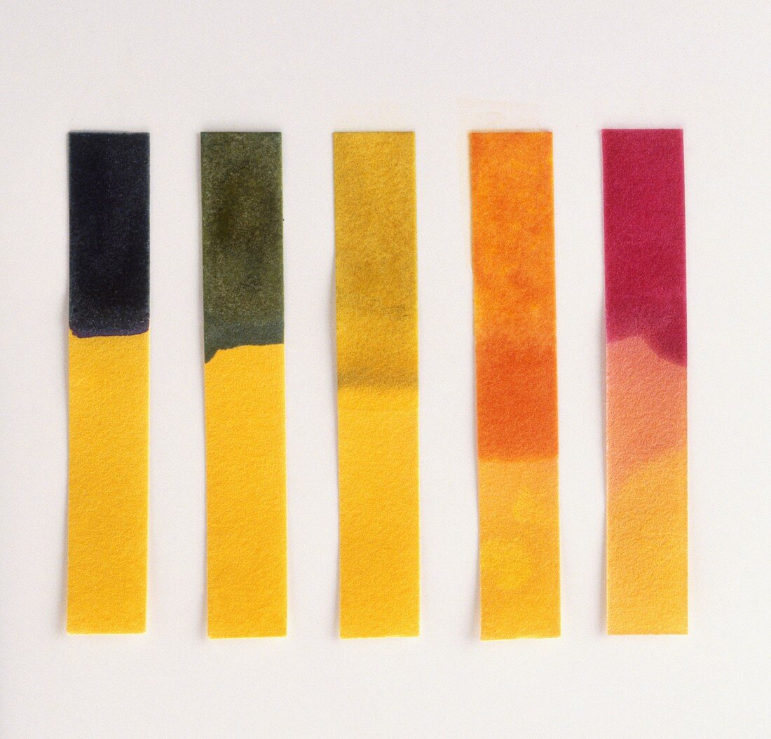 Different coloured strips of litmus paper