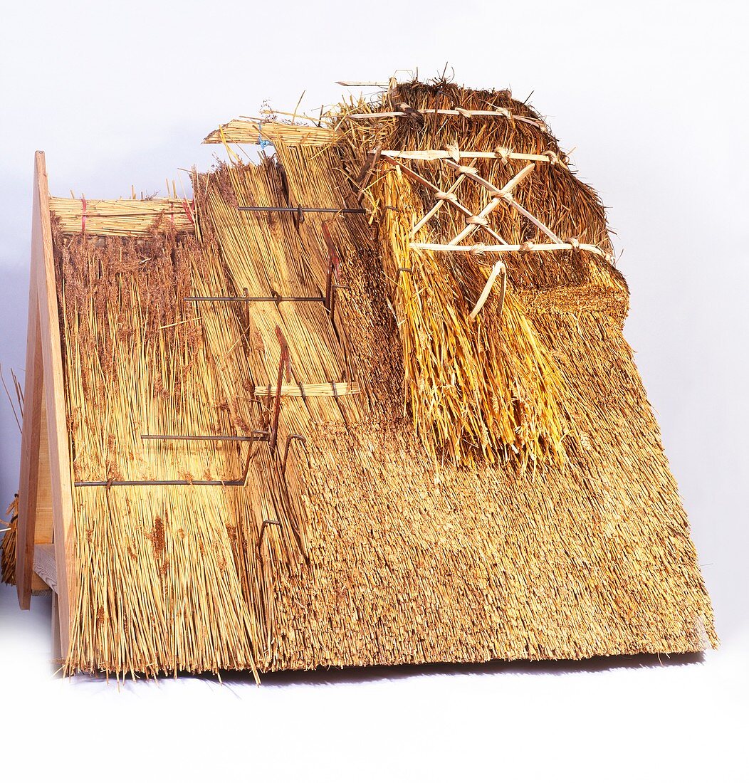 Building a thatched roof,model